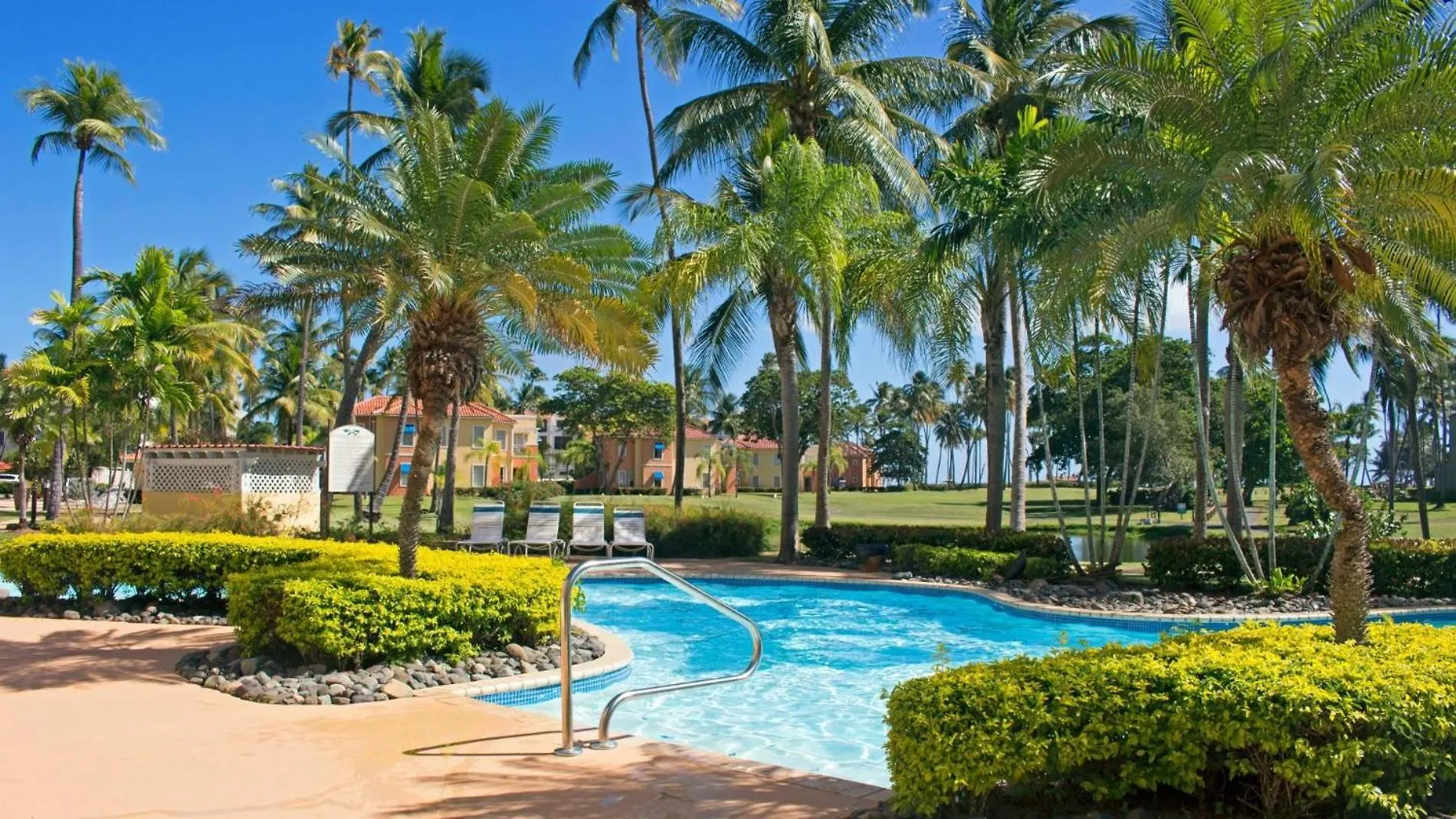 Palm View Apartment Humacao